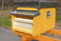 Pollen collector for the hive entrance