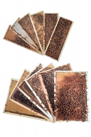 Photographic kit - frames for teaching hive - 38 Cards