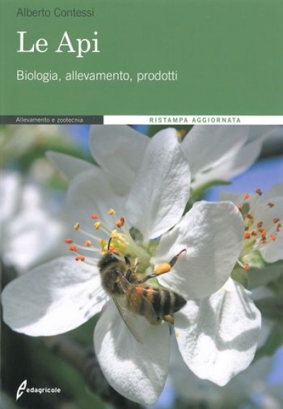 Bee books in Italian - title: 