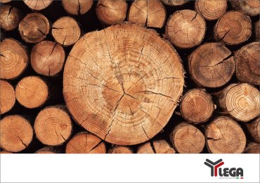Legno Massello o Legno Lamellare: Guida alla scelta del legno per le arnie