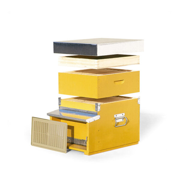 ARNIA DADANT “STANDARD” DA 10 FAVI