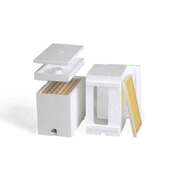 NUC BOX FEEDER