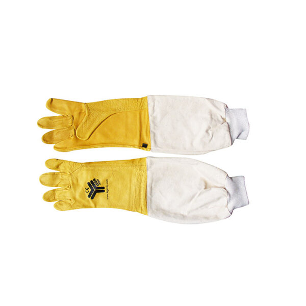 GANTS LONGS EN CUIR - taille S / 7.